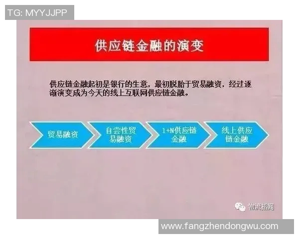 全方位解析网站建设流程与优化技巧 助力企业快速提升线上竞争力