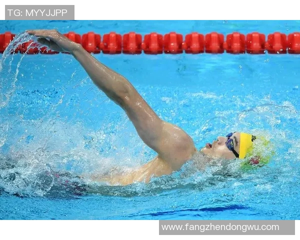 仰泳比赛规则详解及技术要点分析与比赛流程指导