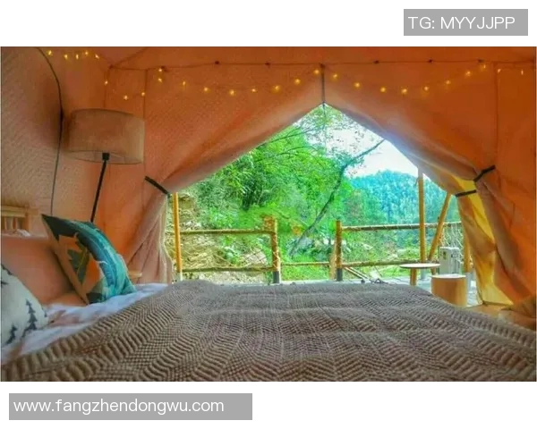 帐篷搭建技巧与实用指南让你的露营体验更加完美和舒适