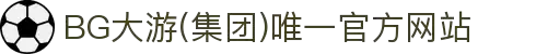 BG大游(集团)唯一官方网站